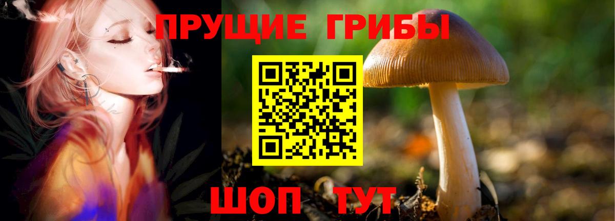 Псилоцибиновые грибы прущие грибы Лянтор